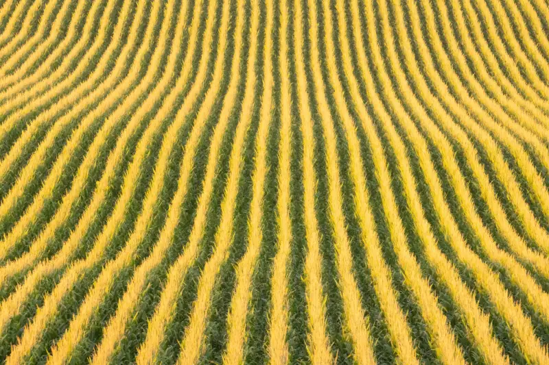 深圳物联网智能硬件技术趋势与2025年应用展望