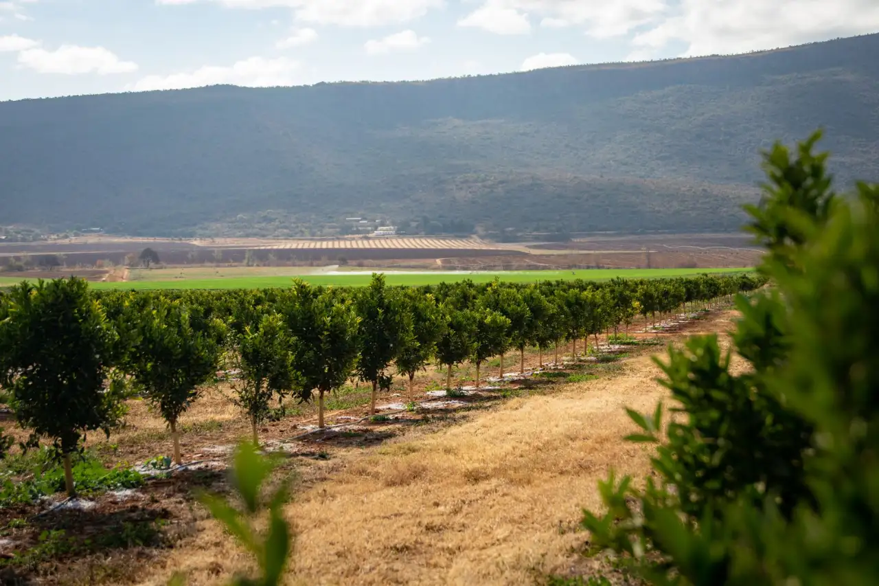 人工智能物联网网关在智慧管理系统的技术优势解析