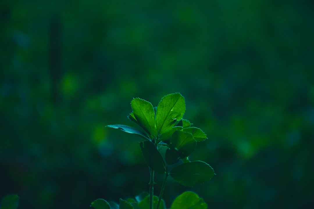智能物联网网关与边缘计算设备技术优势对比分析