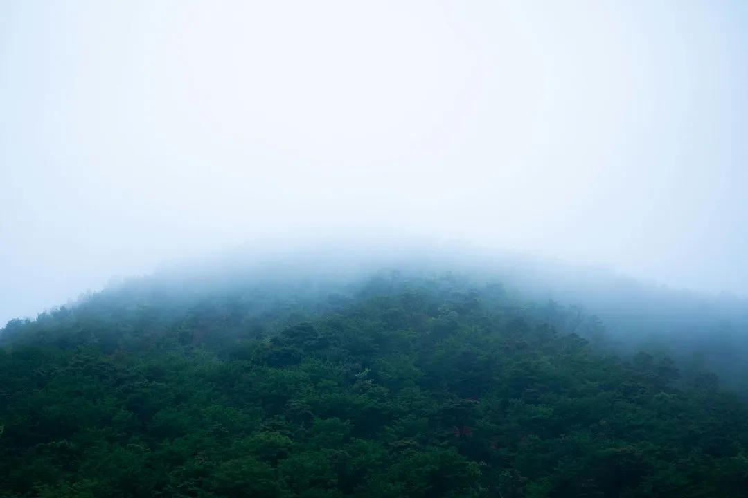 智能硬件与人工智能融合：深圳企业物联网应用落地的技术路径解析